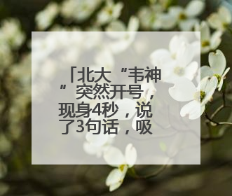 北大“韦神”突然开号，现身4秒，说了3句话，吸粉12万