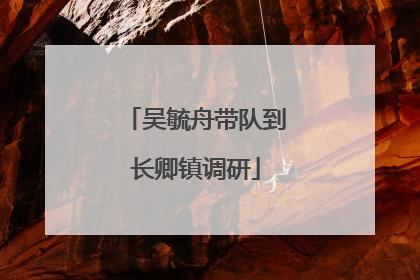 吴毓舟带队到长卿镇调研