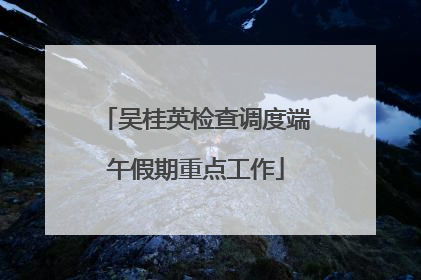 吴桂英检查调度端午假期重点工作