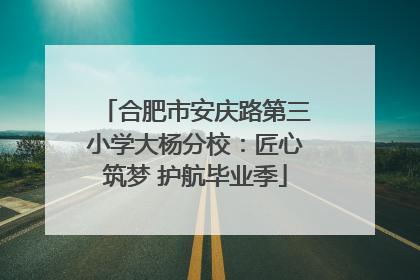 合肥市安庆路第三小学大杨分校：匠心筑梦 护航毕业季