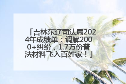吉林东辽司法局2024年成绩单：调解2000+纠纷，1.7万份普法材料飞入百姓家！
