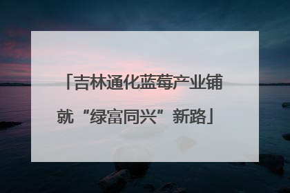 吉林通化蓝莓产业铺就“绿富同兴”新路
