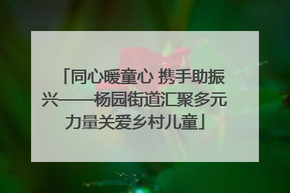 同心暖童心 携手助振兴——杨园街道汇聚多元力量关爱乡村儿童