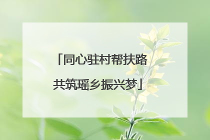 同心驻村帮扶路 共筑瑶乡振兴梦