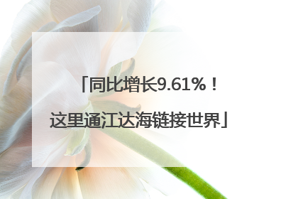 同比增长9.61%！这里通江达海链接世界