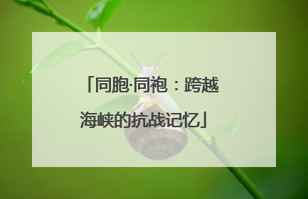 同胞·同袍：跨越海峡的抗战记忆