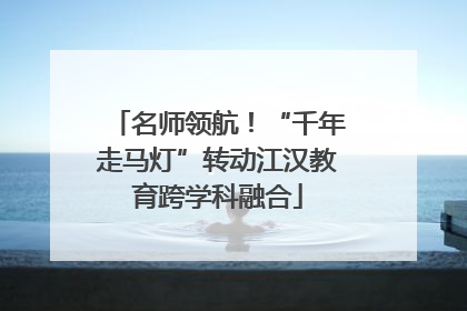 名师领航！“千年走马灯”转动江汉教育跨学科融合