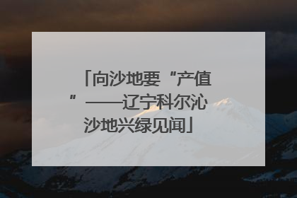 向沙地要“产值”——辽宁科尔沁沙地兴绿见闻