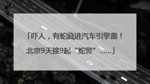 吓人，有蛇藏进汽车引擎盖！北京9天接9起“蛇警”……