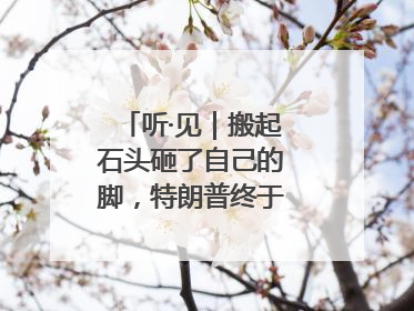 听·见｜搬起石头砸了自己的脚，特朗普终于“慌”了！