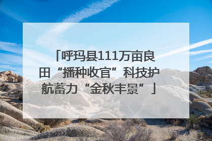 呼玛县111万亩良田“播种收官”科技护航蓄力“金秋丰景”