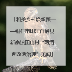 和美乡村焕新颜——铜仁市印江自治县新寨镇团山村“两清两改两治理”见闻