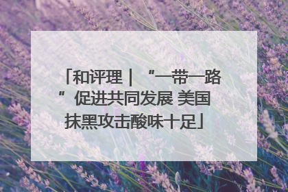 和评理｜“一带一路”促进共同发展 美国抹黑攻击酸味十足