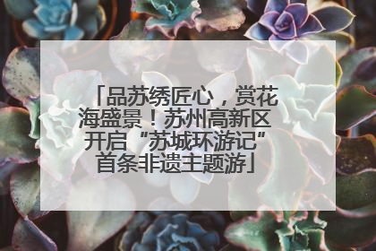 品苏绣匠心，赏花海盛景！苏州高新区开启“苏城环游记”首条非遗主题游