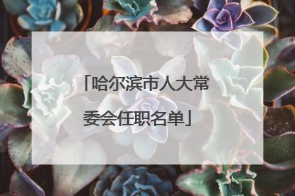 哈尔滨市人大常委会任职名单