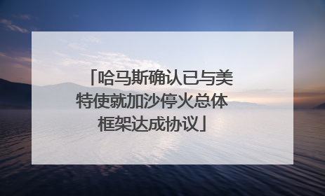 哈马斯确认已与美特使就加沙停火总体框架达成协议