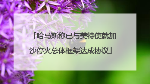 哈马斯称已与美特使就加沙停火总体框架达成协议