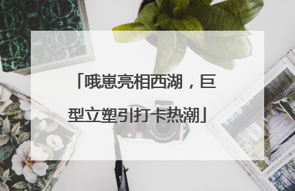 哦崽亮相西湖，巨型立塑引打卡热潮