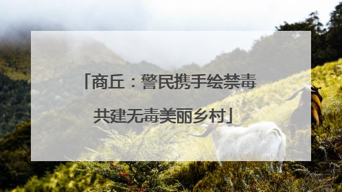 商丘：警民携手绘禁毒 共建无毒美丽乡村