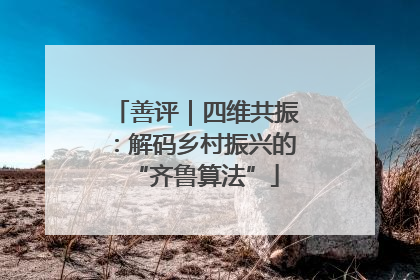 善评｜四维共振：解码乡村振兴的“齐鲁算法”