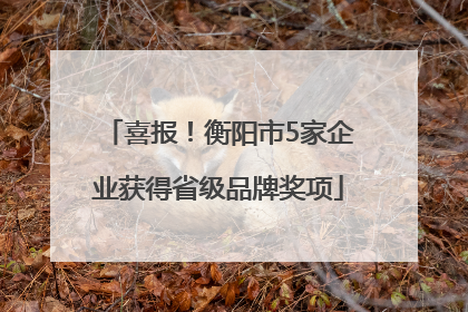 喜报！衡阳市5家企业获得省级品牌奖项