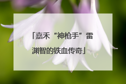 嘉禾“神枪手”雷渊智的铁血传奇