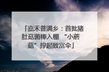 嘉禾普满乡：首批猪肚菇菌棒入棚 “小蘑菇”撑起致富伞