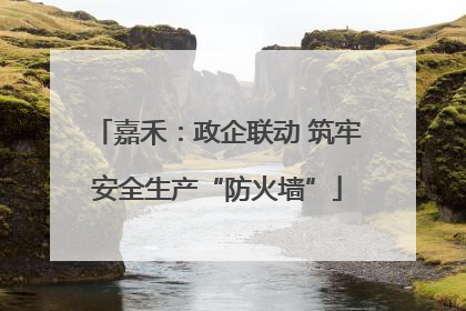 嘉禾：政企联动 筑牢安全生产“防火墙”