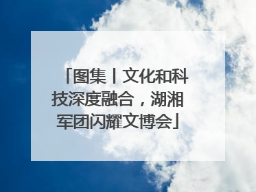 图集丨文化和科技深度融合，湖湘军团闪耀文博会