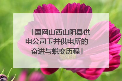 国网山西山阴县供电公司玉井供电所的奋进与蜕变历程