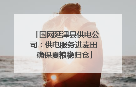 国网延津县供电公司：供电服务进麦田 确保夏粮稳归仓