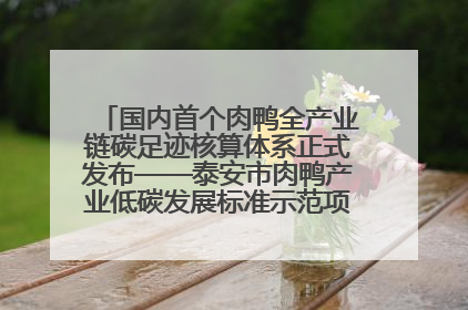 国内首个肉鸭全产业链碳足迹核算体系正式发布——泰安市肉鸭产业低碳发展标准示范项目顺利通过验收