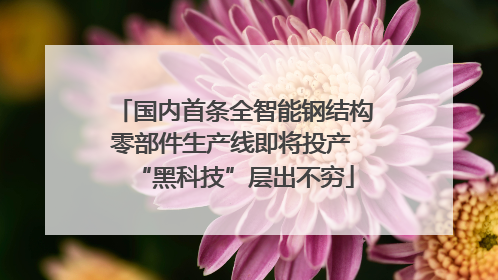 国内首条全智能钢结构零部件生产线即将投产 “黑科技”层出不穷