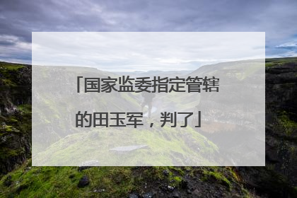国家监委指定管辖的田玉军，判了