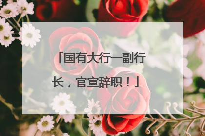 国有大行一副行长，官宣辞职！
