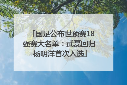 国足公布世预赛18强赛大名单：武磊回归 杨明洋首次入选