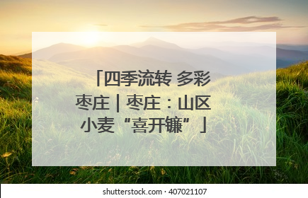 四季流转 多彩枣庄｜枣庄：山区小麦“喜开镰”