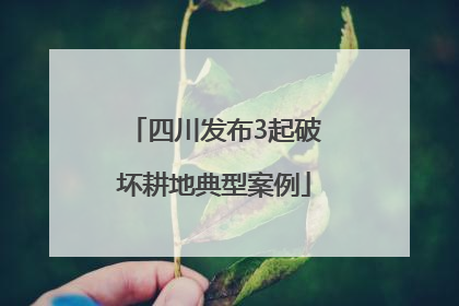四川发布3起破坏耕地典型案例
