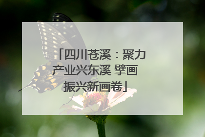 四川苍溪：聚力产业兴东溪 擘画振兴新画卷