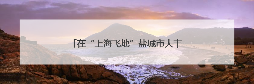 在“上海飞地”盐城市大丰区，“沪苏”品牌日益响亮
