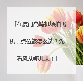 在厦门高崎机场拍飞机，点位该怎么选？先看风从哪儿来！