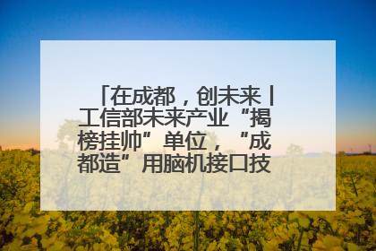 在成都，创未来丨工信部未来产业“揭榜挂帅”单位，“成都造”用脑机接口技术造福孤独症儿童
