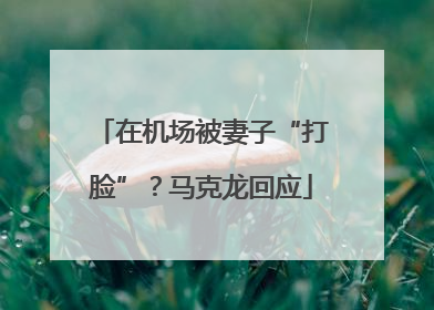 在机场被妻子“打脸”？马克龙回应