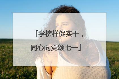 学榜样促实干，同心向党颂七一
