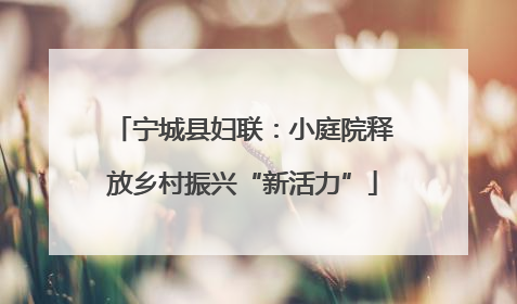 宁城县妇联：小庭院释放乡村振兴“新活力”