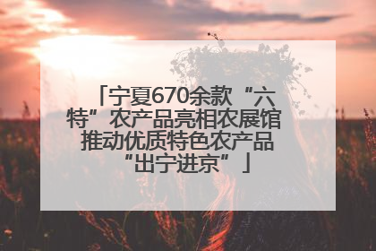 宁夏670余款“六特”农产品亮相农展馆 推动优质特色农产品“出宁进京”