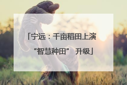 宁远：千亩稻田上演 “智慧种田” 升级
