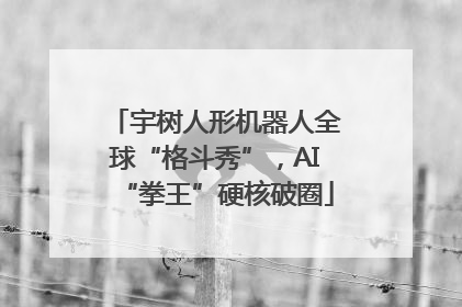 宇树人形机器人全球“格斗秀”，AI“拳王”硬核破圈