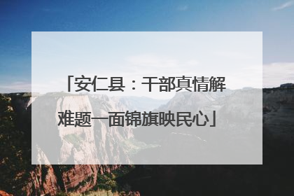 安仁县：干部真情解难题一面锦旗映民心