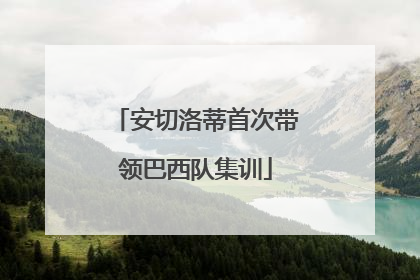 安切洛蒂首次带领巴西队集训